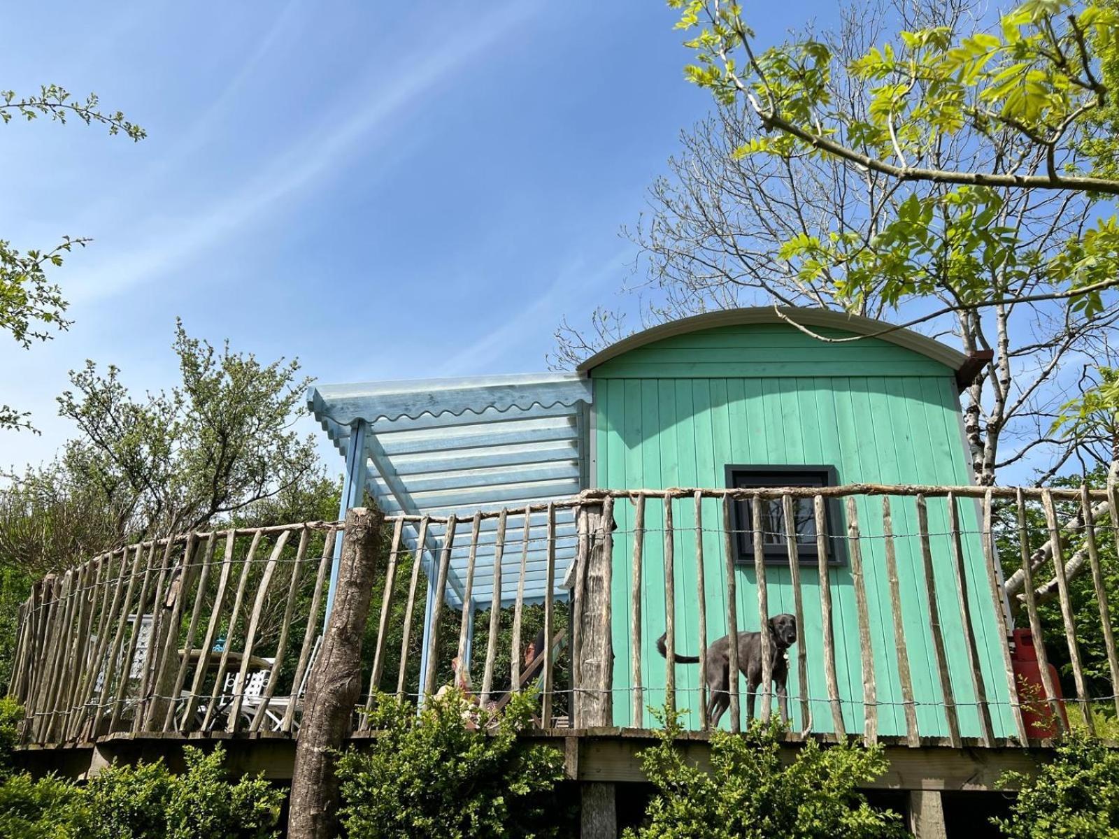 Lapin Cottage Long Bredy Bagian luar foto